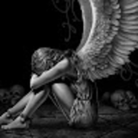 Meet your Posher, Dianne - Picture 1 of 1